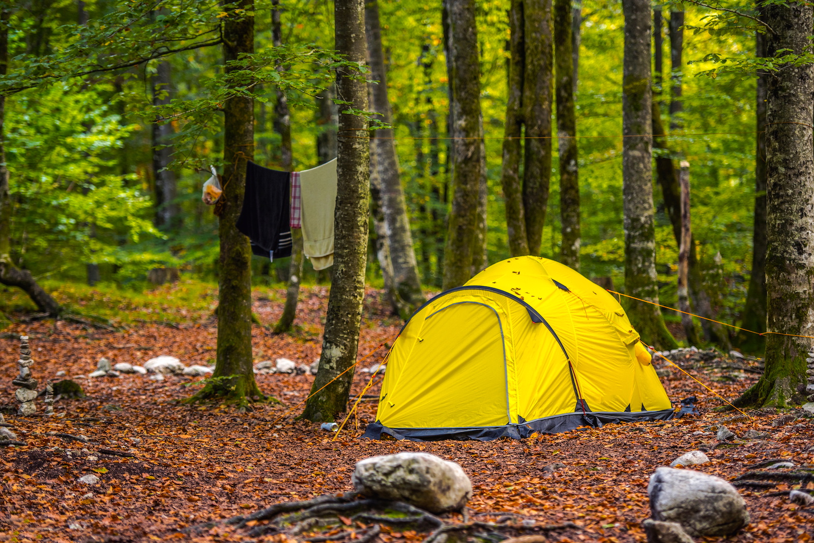 Yellow tent set up in the woods