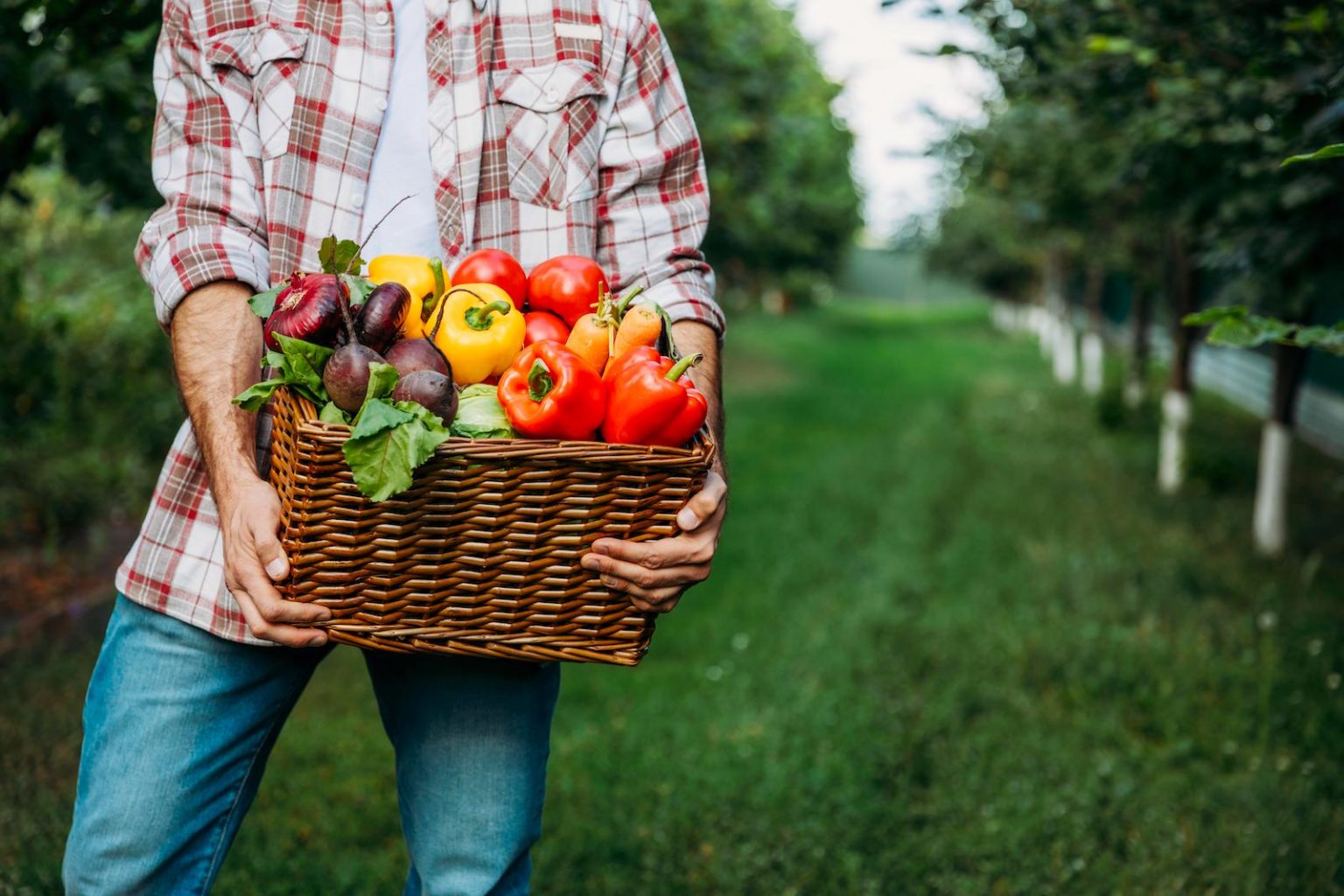 Best States for Homesteading [All 50 Ranked]