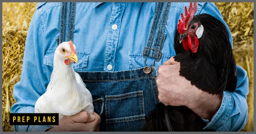 farmer with a rooster and a hen under his arms
