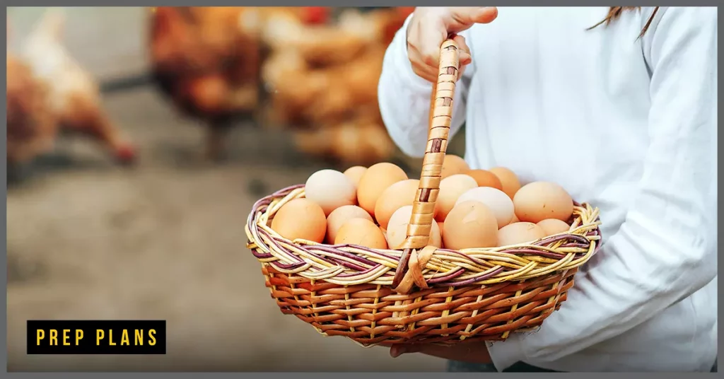 a basket full of brown chicken eggs
